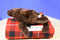 Wild Republic Sea Lion 2017 Beanbag Plush