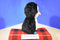 Ty Beanie Boos Waddles the Penguin 2014 Beanbag Plush
