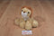 Aurora Mini Flopsies Lionel Lion Beanbag Plush