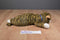 Ty Classic Spice Brown Tabby Cat 1997 Beanbag Plush