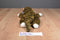 Ty Classic Spice Brown Tabby Cat 1997 Beanbag Plush