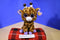 Ty Beanie Boos Safari the Brown and Purple Giraffe 2010 Beanbag Plush