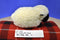 Ty Beanie Babies Woolly the White Black Faced Sheep 1995 Beanbag Plush