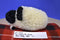 Ty Beanie Babies Woolly the White Black Faced Sheep 1995 Beanbag Plush