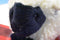 Ty Beanie Babies Woolly the White Black Faced Sheep 1995 Beanbag Plush