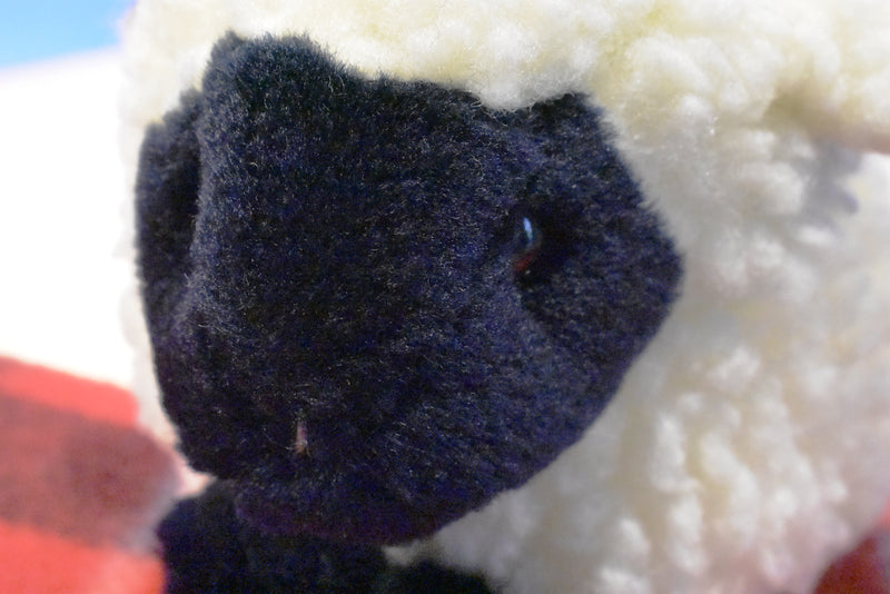 Ty Beanie Babies Woolly the White Black Faced Sheep 1995 Beanbag Plush