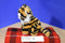 Pier 1 Imports Tiger Plush
