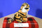 Pier 1 Imports Tiger Plush