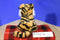 Pier 1 Imports Tiger Plush