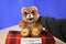 Jazwares Fiesty Pets Sir Growls A Lot Teddy Bear 2015 Plush