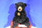 Aurora Black Bear with Cub Beanbag Plush