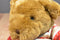 Play Wonder Brown Teddy Bear Beanbag Plush