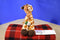 Wild Republic Giraffe 2015 Beanbag Plush