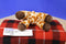 Wild Republic Giraffe 2015 Beanbag Plush