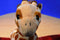 Wild Republic Giraffe 2015 Beanbag Plush