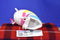 Just Play Shopkins Sneaky Wedge 2016 Beanbag Plush