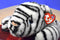 Ty Beanie Buddies White Tiger 2000 Beanbag Plush