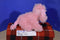 GANZ Webkinz Pink Poodle HM107 Beanbag Plush (Sealed Code)