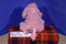 GANZ Webkinz Pink Poodle HM107 Beanbag Plush (Sealed Code)