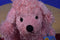 GANZ Webkinz Pink Poodle HM107 Beanbag Plush (Sealed Code)