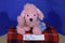 GANZ Webkinz Pink Poodle HM107 Beanbag Plush (Sealed Code)