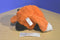 Animal Adventure Plump Red Fox 2014 Beanbag Plush