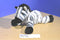Aurora Flopsies Zebra Beanbag Plush