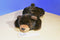 Brown Bear Plush