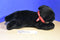 Aurora Black Labrador Lab Puppy Red Bandana Beanbag Plush