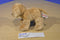 Aurora Mini Flopsies Golden Retriever Labrador Beanbag Plush