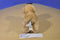 Aurora Mini Flopsies Golden Retriever Labrador Beanbag Plush