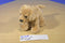 Aurora Mini Flopsies Golden Retriever Labrador Beanbag Plush