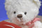 Hallmark Whtie Teddy Bear With Red Heart Bag Beanbag Plush