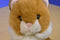 Commonwealth Orange and White Cat Plush