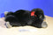 Animal Adventure Gorilla With Red Bow 1999 Beanbag Plush