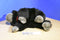 Animal Adventure Gorilla With Red Bow 1999 Beanbag Plush