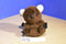 Dakin Brown Koala 1976 Nutshell Beanbag Plush