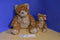 Ty Beanie Buddy and Baby 2004 Whittle Teddy Bear Beanbag Plushes