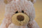 Mary Meyer Marshmallow Zoo Tan Teddy Bear Beanbag Plush