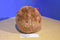 Ty Beanie Ballz Charlie Mandrill 2012 Beanbag Plush
