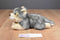 Aurora Miyoni Grey Wolf 2015 Beanbag Plush