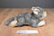 Aurora Miyoni Grey Wolf 2015 Beanbag Plush