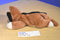 Ty Beanie Buddy 1998 and Babies 1996 Chip Calico Cat Beanbag Plush