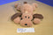 Ty Pillow Pals Woof the Brown Dog 1994 Plush