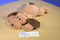 Ty Pillow Pals Woof the Brown Dog 1994 Plush