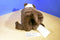 Little Miracles Snuggle Me Bulldog 2015 Pillow Plush