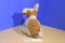 Ty Classic Taffy Terrier Puppy 1997 Beanbag Plush
