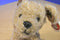 Ty Classic Taffy Terrier Puppy 1997 Beanbag Plush