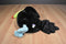 Manhattan Black, Yellow and Blue Toucan Plush