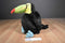 Manhattan Black, Yellow and Blue Toucan Plush